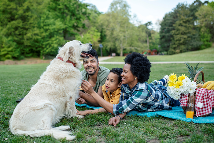 family picnic in a park with dog